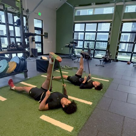 Flex Bands Flex Bands